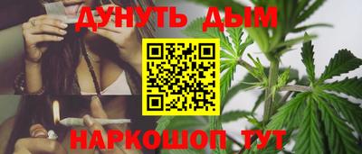 гашик Будённовск