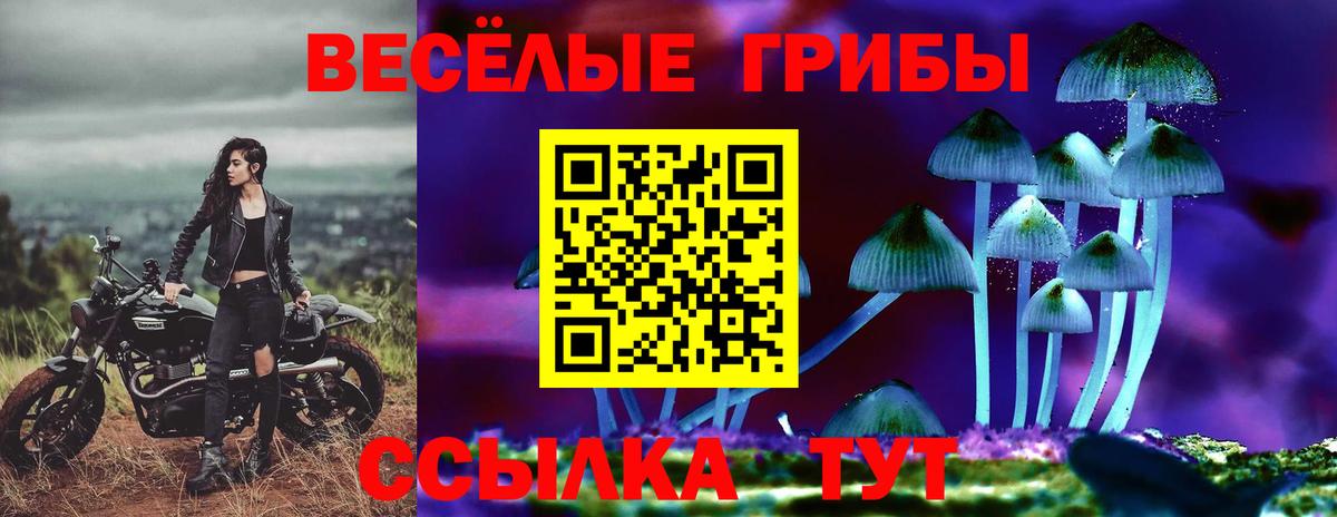 Галлюциногенные грибы мухоморы  Вход с VPN  Псилоцибиновые грибы Psilocybe  Озёры 